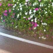 ヒメ日記 2026/05/04 09:49 投稿 こころ 待ちナビ
