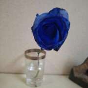 ヒメ日記 2026/04/18 18:33 投稿 宮尾(みやお) 人妻出逢い会 百合の園 池袋店