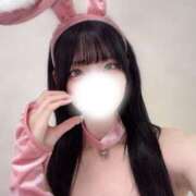 ヒメ日記 2026/03/28 08:01 投稿 ひかり ロイヤルフラッシュ