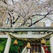 ヒメ日記 2026/04/02 20:43 投稿 神乃 みこ セカンドパートナー池袋