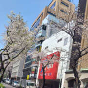 ヒメ日記 2026/03/29 13:05 投稿 めめ 性腺熟女100％（デリヘル市場）