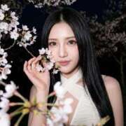 ヒメ日記 2026/04/06 19:27 投稿 ありす Lounge Yoki東京