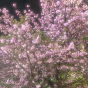 ヒメ日記 2026/04/12 19:21 投稿 矢澤まき 社外秘 松戸支店