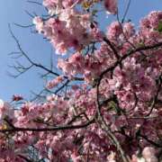 ヒメ日記 2026/03/28 19:38 投稿 もか ラブレター