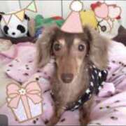 ヒメ日記 2026/04/01 17:11 投稿 もか ラブレター