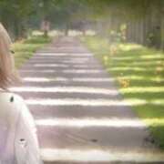 ヒメ日記 2026/04/16 06:01 投稿 あや ちゃんこ大阪