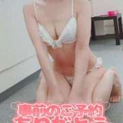 ヒメ日記 2026/05/15 06:12 投稿 梅野じゅり ちょうどいい奥さん