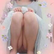 ヒメ日記 2026/06/12 07:43 投稿 梅野じゅり ちょうどいい奥さん