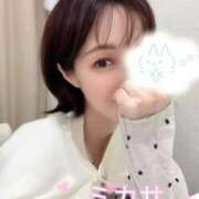 ヒメ日記 2026/09/17 13:47 投稿 ミカサ Celeb Garden(セレブガーデン)