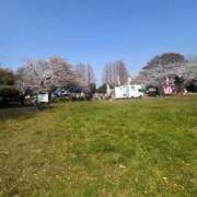 ヒメ日記 2026/03/29 14:14 投稿 町田なのは 松戸人妻花壇