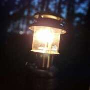 つばき こんばんはだね 土浦ハッピーマットパラダイス