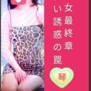 ヒメ日記 2026/07/16 10:30 投稿 こと 熟女の風俗最終章　越谷店