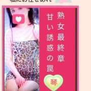 ヒメ日記 2026/07/17 14:00 投稿 こと 熟女の風俗最終章　越谷店