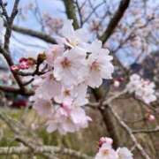 ヒメ日記 2026/04/01 20:05 投稿 しおり ぐっすり山田　福岡店