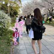 ヒメ日記 2026/03/29 13:38 投稿 立花　せいら 未熟な人妻