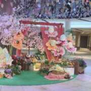 ヒメ日記 2026/04/05 09:08 投稿 さとみさん いけない奥さん 十三店