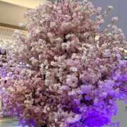 ヒメ日記 2026/04/06 20:21 投稿 さとみさん いけない奥さん 梅田店