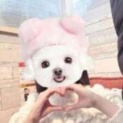 ヒメ日記 2026/03/19 17:17 投稿 えな 秋葉原鑑賞ガール