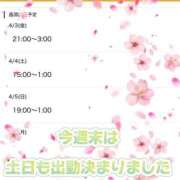 ヒメ日記 2026/04/03 14:09 投稿 まりにん 迷宮の人妻 古河・久喜発