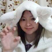 ヒメ日記 2026/03/18 14:36 投稿 あいこ 桃李（とうり）