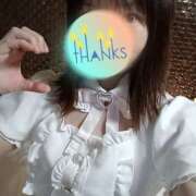 ヒメ日記 2026/03/18 15:12 投稿 あいこ 桃李（とうり）