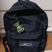 ヒメ日記 2026/03/19 06:56 投稿 あいこ 桃李（とうり）