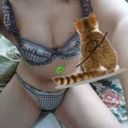 ヒメ日記 2026/03/23 13:52 投稿 あいこ 桃李（とうり）