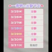 ヒメ日記 2026/03/25 16:52 投稿 あいこ 桃李（とうり）