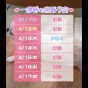 ヒメ日記 2026/04/11 09:22 投稿 あいこ 桃李（とうり）