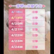 ヒメ日記 2026/04/18 10:52 投稿 あいこ 桃李（とうり）