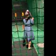 ヒメ日記 2026/04/20 17:22 投稿 あいこ 桃李（とうり）