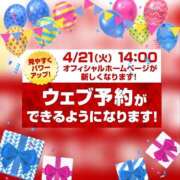 ヒメ日記 2026/04/20 20:32 投稿 あいこ 桃李（とうり）