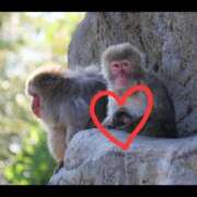 あいこ ベビー🐒💕 桃李（とうり）