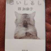 あいこ おとな 桃李（とうり）