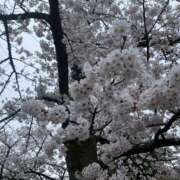 伊崎せら 🩵出勤予定🩵 五反田マーマレード(ユメオト)