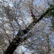 ヒメ日記 2026/04/13 14:45 投稿 伊崎せら 五反田マーマレード(ユメオト)