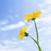 ヒメ日記 2026/03/27 08:50 投稿 白石あみ 渋谷エオス