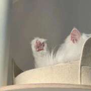 杏(あん) おひさしぶりです🤍 グランドオペラ福岡