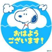 ヒメ日記 2026/04/02 08:26 投稿 鳴美 熟女の風俗最終章 新横浜店