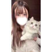 ヒメ日記 2026/04/21 18:11 投稿 ゆきな★坂道系キレカワ美少女★ Chloe五反田本店　S級素人清楚系デリヘル