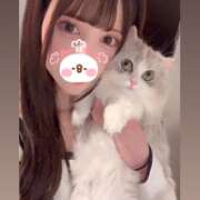 ヒメ日記 2026/04/23 11:24 投稿 ゆきな★坂道系キレカワ美少女★ Chloe五反田本店　S級素人清楚系デリヘル