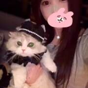 ヒメ日記 2026/05/13 14:31 投稿 ゆきな★坂道系キレカワ美少女★ Chloe五反田本店　S級素人清楚系デリヘル
