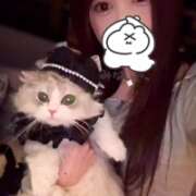 ヒメ日記 2026/06/10 03:26 投稿 ゆきな★坂道系キレカワ美少女★ Chloe五反田本店　S級素人清楚系デリヘル