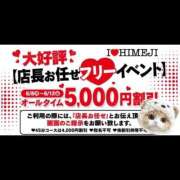 ヒメ日記 2026/06/09 09:57 投稿 ありす I❤HIMEJI（アイラブ姫路）
