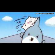 ヒメ日記 2026/08/12 16:54 投稿 ありす I❤HIMEJI（アイラブ姫路）