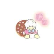 ヒメ日記 2026/03/29 20:17 投稿 こは I❤HIMEJI（アイラブ姫路）