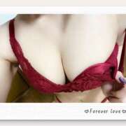 ヒメ日記 2026/03/18 10:17 投稿 もなか I❤HIMEJI（アイラブ姫路）