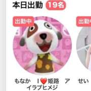 ヒメ日記 2026/04/24 08:14 投稿 もなか I❤HIMEJI（アイラブ姫路）