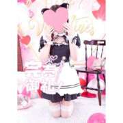 ヒメ日記 2026/08/18 06:44 投稿 いぶき I❤HIMEJI（アイラブ姫路）