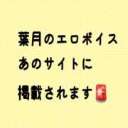 ヒメ日記 2026/07/04 09:04 投稿 葉月 I❤HIMEJI（アイラブ姫路）